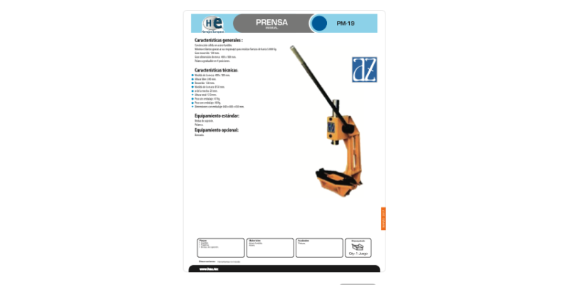 FICHA PM 19